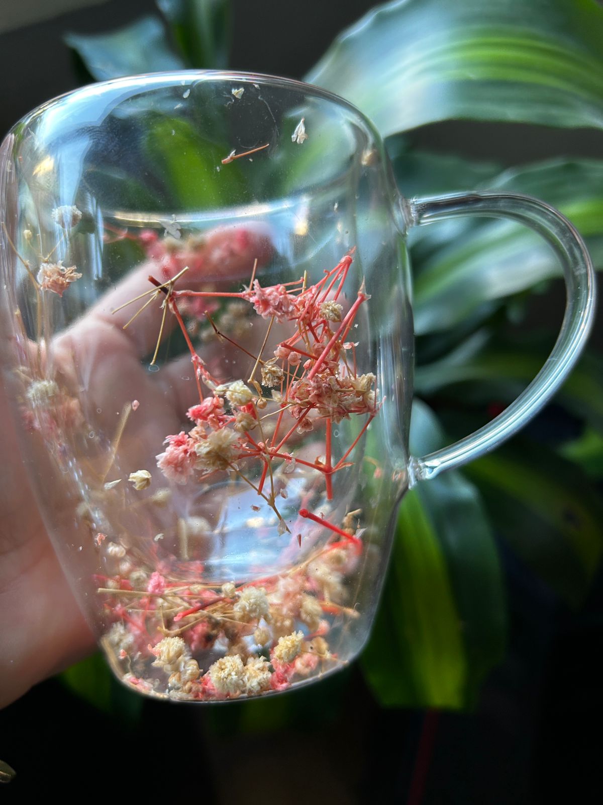 Tazas/Mugs